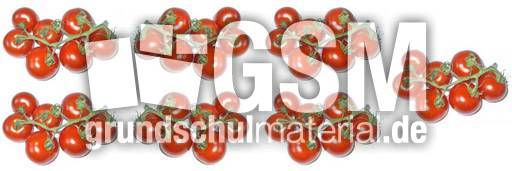 Tomaten-7x7B.jpg